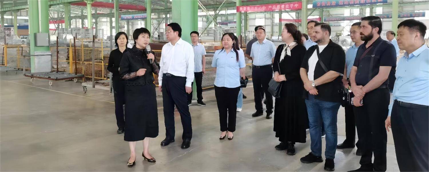 جدید بروائلر کیج آلات کے حل برائے مؤثر گوشت مرغی فارمنگ