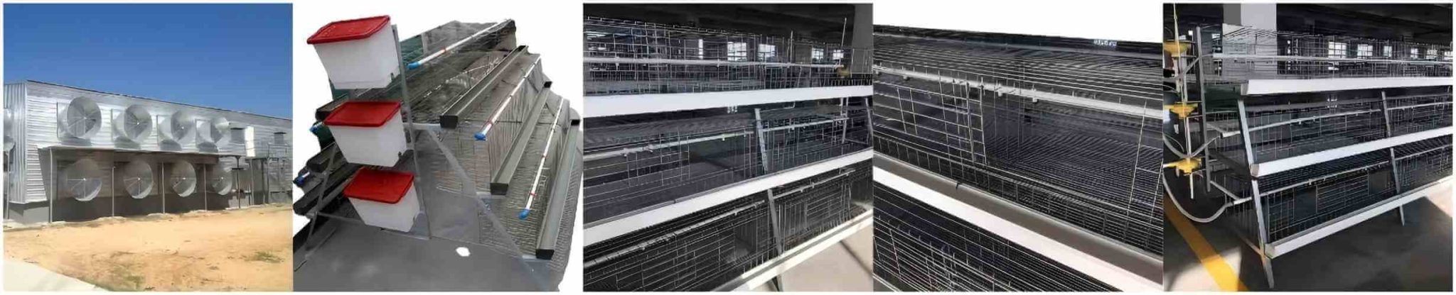 اپنی ضروریات کے مطابق پولٹری اور مویشیوں کے حل دریافت کریں — تیز رفتار اور بغیر کسی جھنجھٹ کے