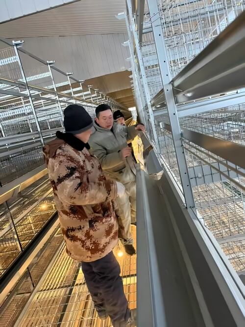 Innovative Stacked Layered Egg-Laying Chicken Equipment for