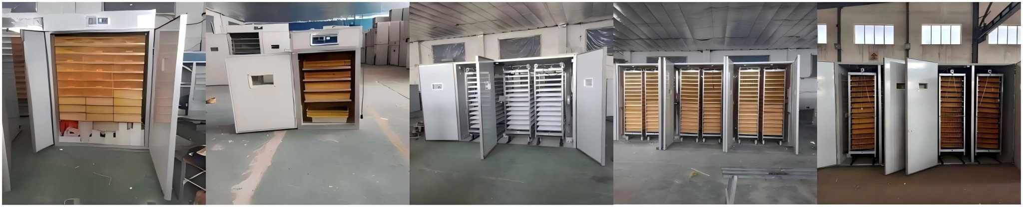 چین کے خودکار پولٹری انڈہ انکیوبیٹرز کی عالمی فراہمی