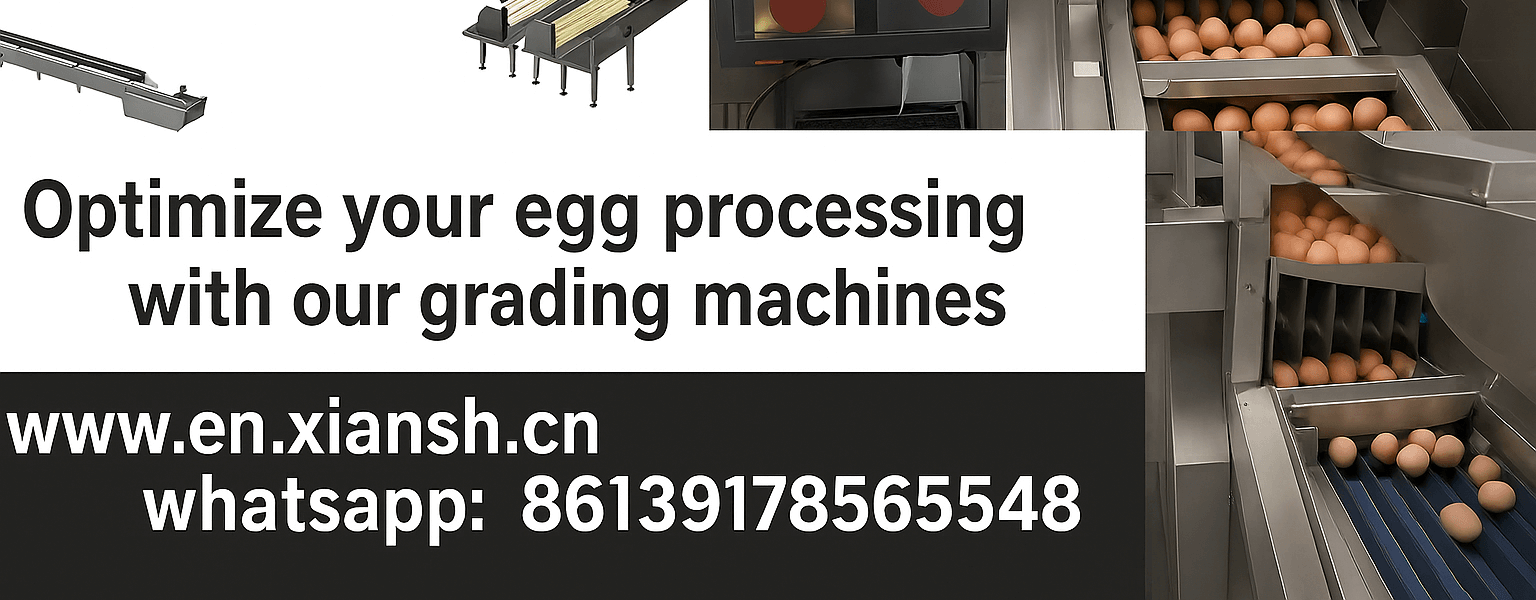 Global Egg Grading Machines for Poultry Farms — Direct Supply from Chinese Manufacturers