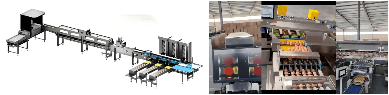 Global Egg Grading Machines for Poultry Farms — Direct Supply from Chinese Manufacturers