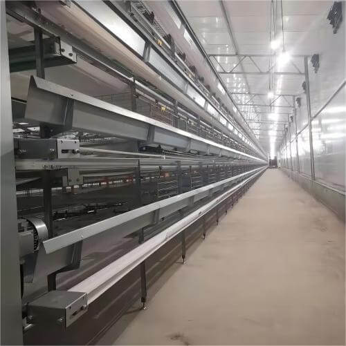 خودکار پولٹری فارمنگ حل | انٹیگریٹڈ انڈہ گریڈنگ اور پیکنگ