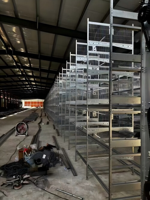 Automatic Poultry Farm Solutions | Integrated Egg Grading and Packing
