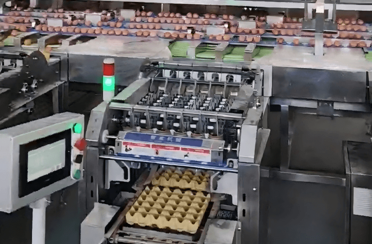 انڈہ گریڈر کی خصوصیات