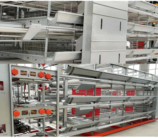 Buy Intelligent Automatic Poultry Cage Systems for Sale